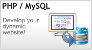 Develop your dynamic web site